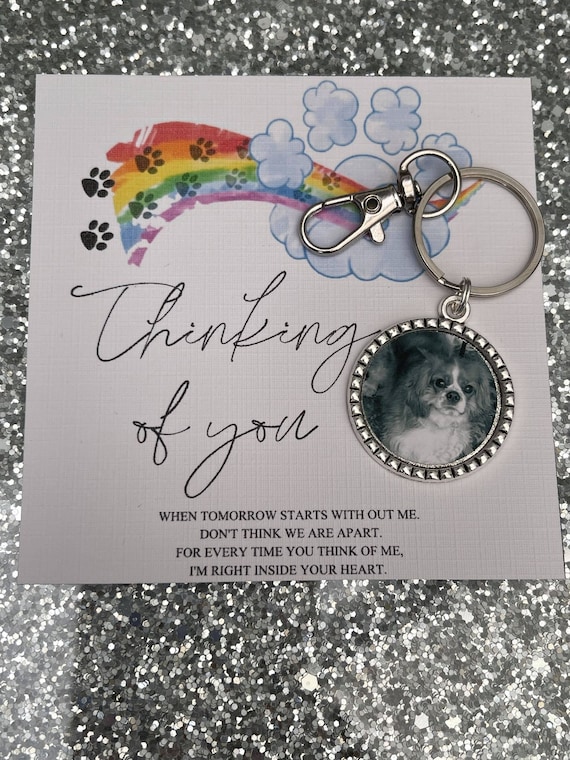 Pet Loss Memory Keyring/Dog/Cat/Animal/Key Chain/Sentimental Card/Thinking Of You/Sorry For Your Loss/Memorial/Hug Token/Photo/Personalised