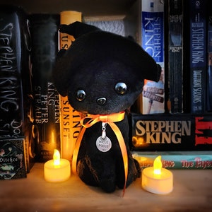May include: A black plush toy dog with orange ribbon and a silver charm that says "Hocus Pocus 103" sits on a shelf with books and two lit tea lights.