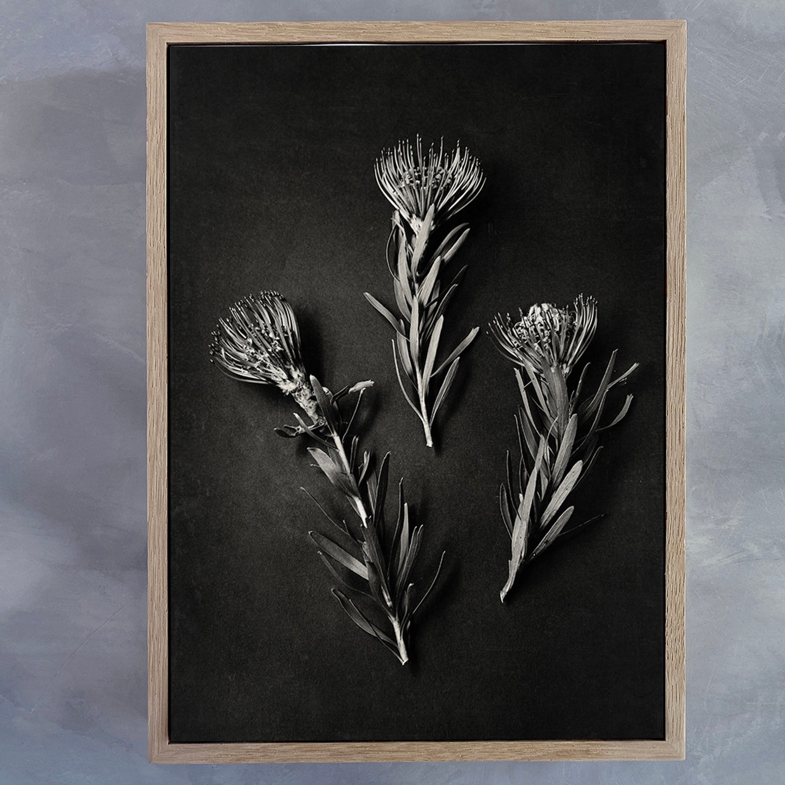 Set of 2 extra large Botanical WALL ART PRINTS Mono PinsP Etsy