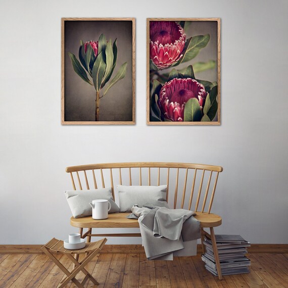 Set of 2 extra large Botanical WALL ART PRINTS Red Protea | Etsy