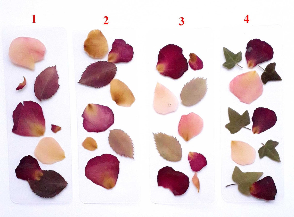 Rose petals bookmarks laminated real rose petals botanical Etsy