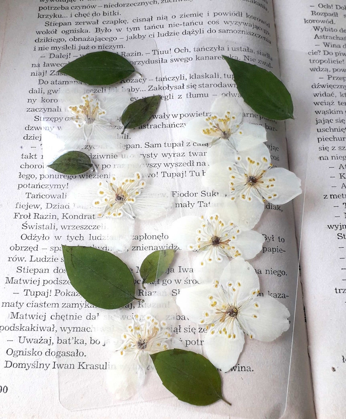 Jasmine Bookmarks Laminated Real Jasmine Bookmark Pressed Etsy