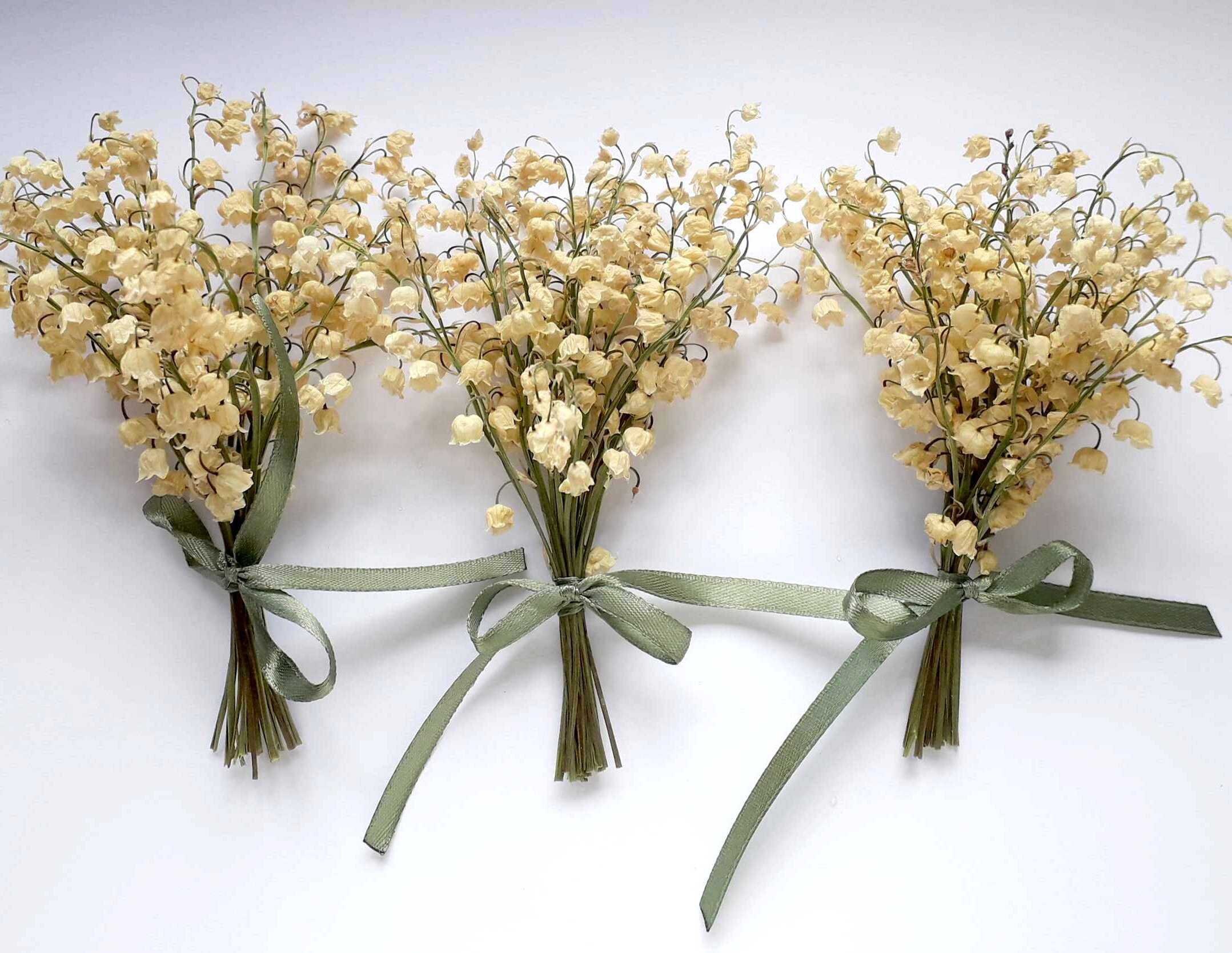 lily of the valley dried