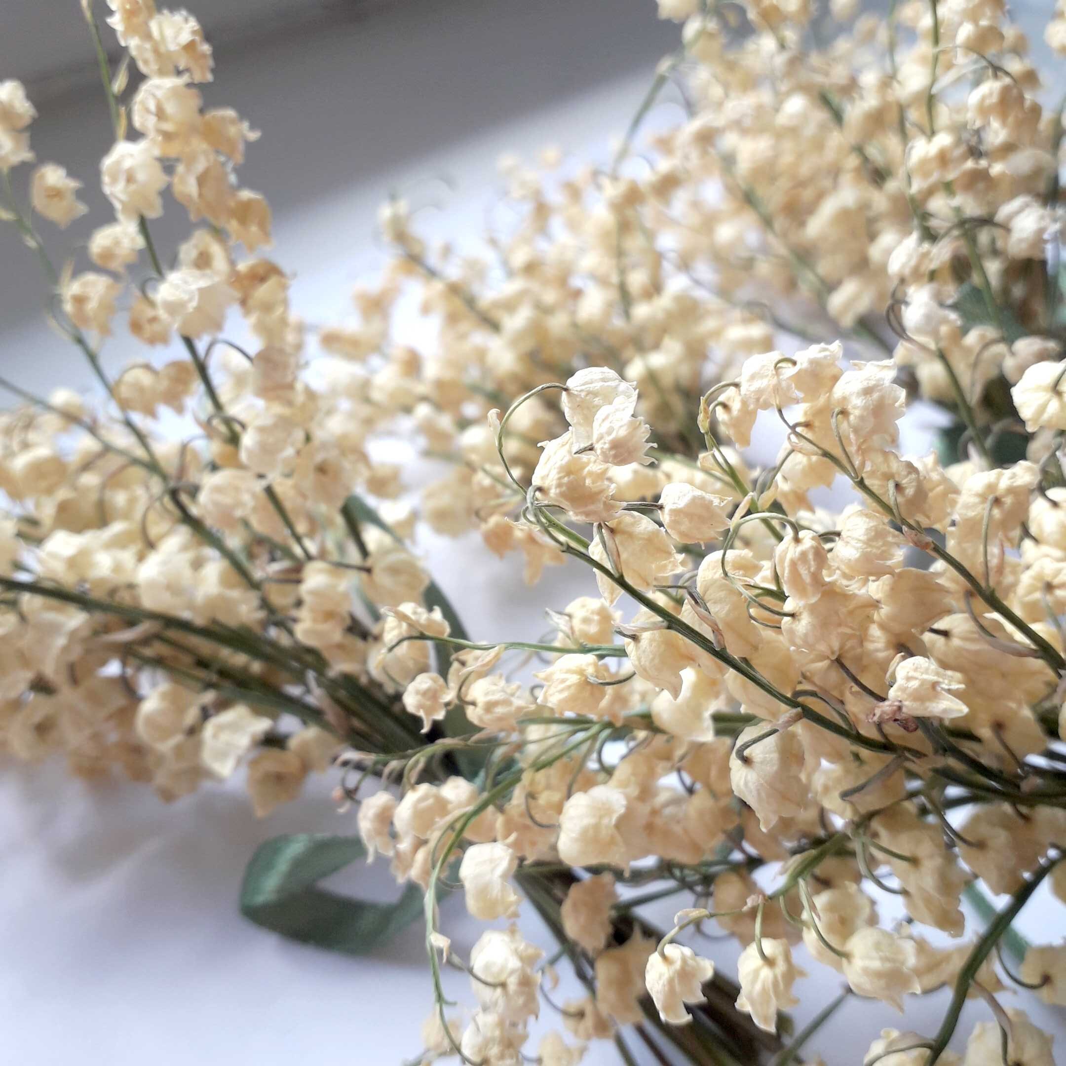 Lily of the valley dried flowers for crafts real lily of the Etsy