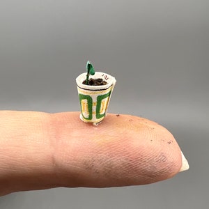 Miniature Seedling in Dixie Cup 1:12 Scale | Dollhouse Garden Decor | Unique Collectible Gift