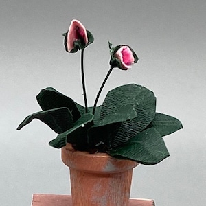 Miniature plant 1:12 scale