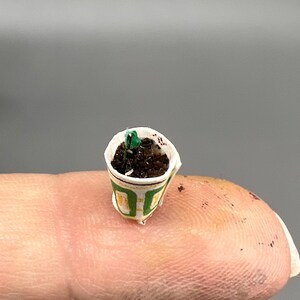 May include: A small green plant growing in a miniature paper cup with brown soil. The cup has a green and yellow design.