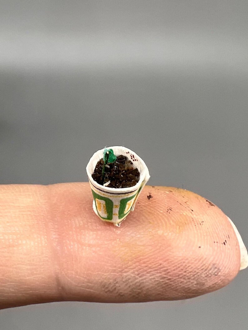 May include: A small green plant growing in a miniature paper cup with brown soil. The cup has a green and yellow design.