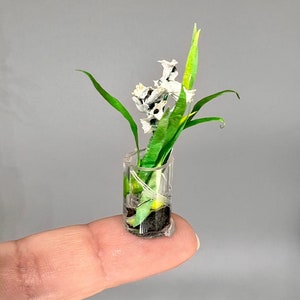 May include: A miniature white flower arrangement in a clear glass vase. The vase is sitting on a finger.