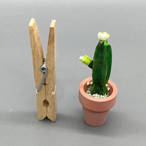 1:12 Scale Miniature Blooming Cactus in Terracotta Pot - Dollhouse Collectible Decor