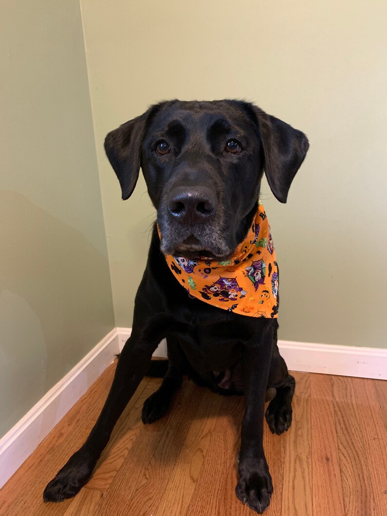 Halloween Mickey Mouse Dog Bandanna