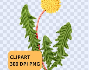 Imagen prediseñada de flor de diente de león en micromacramé