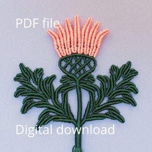 May include: A digital download PDF file for a crochet pattern of a pink and green thistle. The pattern is for a decorative wall hanging or other craft project.