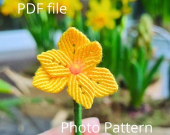 Tutorial de flor de narciso primaveral DIY, micro macramé - Descarga digital en PDF, más de 250 imágenes