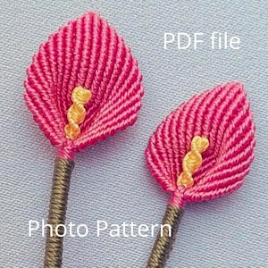 Może przedstawiać: Dwa różowe i żółte kwiaty z makramu z brązowymi łodygami. Obraz zawiera tekst "PDF file" i "Photo Pattern".