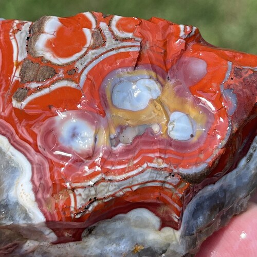 Large Natural Kentucky Agate Rough From Estill County Etsy