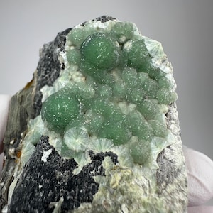 May include: A close-up of a mineral specimen featuring a cluster of vibrant green, spherical formations atop a dark, textured rock base. Delicate, radiating crystal structures surround the green clusters, creating a striking contrast.