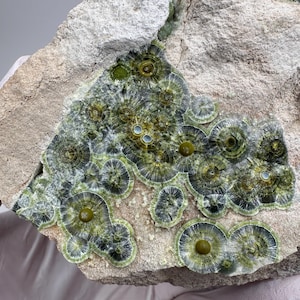 May include: A raw mineral specimen featuring a cluster of circular, radiating green and dark gray crystal formations embedded in a rough, light beige stone matrix. The circular patterns display concentric rings with a smooth, solid green center.