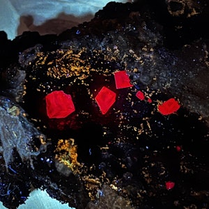 May include: Close-up of a dark, rough rock surface with several bright red crystals embedded in it. The crystals are sharp and angular, with a glassy sheen.