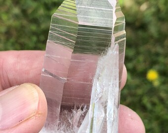 コロンビア、サンタンデール県ラ・ベジェサ鉱山産、長さ3 1/8インチの