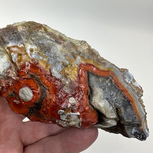 Large Natural Kentucky Agate Rough from Estill County