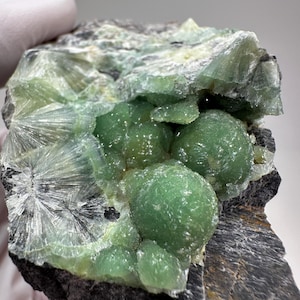 May include: A close-up of a mineral specimen featuring a cluster of light green, spherical formations. The specimen has a dark gray and black matrix with areas of radiating, fan-like crystal structures. The overall appearance is natural and textured.