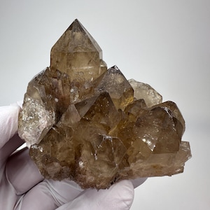 May include: A cluster of translucent smoky quartz crystals featuring multiple sharp, pointed terminations. The mineral specimen displays varying shades of brown and grey, with a glassy, reflective surface texture across the jagged, natural formation.