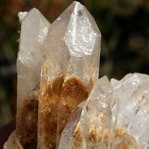 May include: A cluster of clear quartz crystals with a brown, iron-rich matrix. The crystals are pointed and have a glassy lustre.