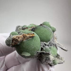 May include: A close-up of a mineral specimen featuring clusters of rounded, light green formations. The mineral sits on a matrix of gray and black rock, with a section of brown material. The specimen is held by a gloved hand.