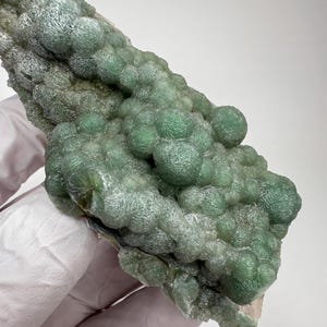 May include: A close-up of a green mineral specimen. The mineral has a bubbly, textured surface with a light green color. The specimen is held by a gloved hand against a white background. The mineral appears to be a cluster of small, rounded formations.