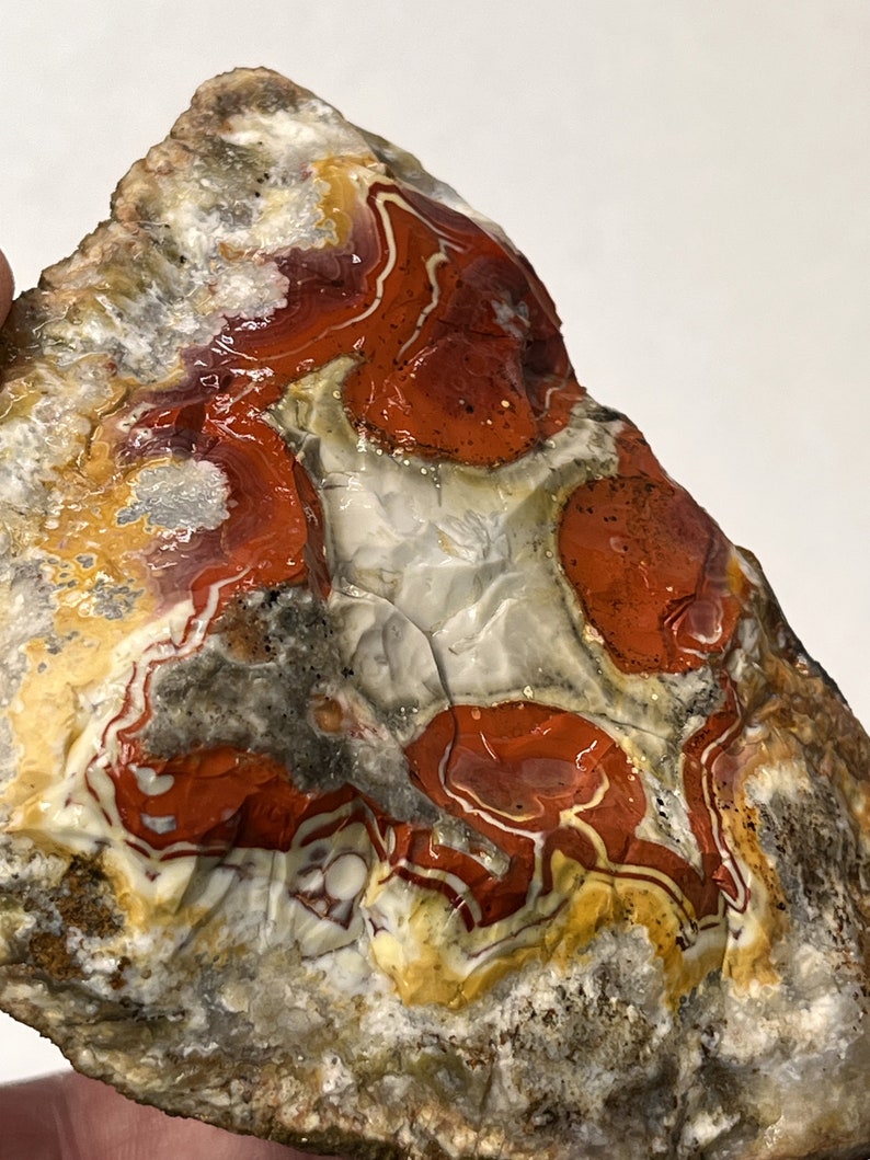 Large Natural Kentucky Agate Rough From Estill County - Etsy