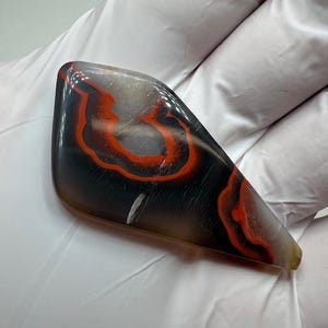 RARE ( 65.5 ct. ) Kentucky Agate Designer Cabochon from Estill County, Kentucky
