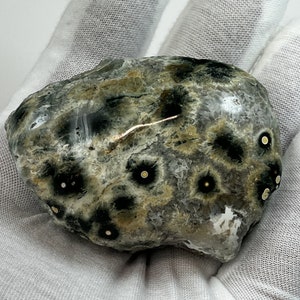 RARE Large Old Stock Ocean Jasper Palm Stone - Marovato, Madagascar