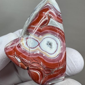 RARE Large Tumbled Kentucky Agate Palm Stone from Estill County, Kentucky