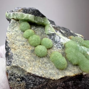 May include: A close-up of a mineral specimen featuring light green, spherical prehnite formations on a gray and black rock matrix. The prehnite has a textured, bubbly appearance. The rock has a rough, natural texture.