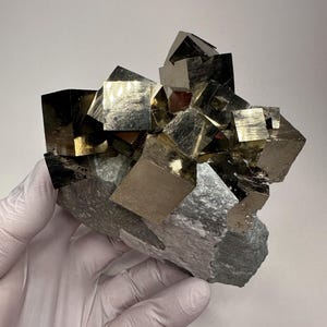 Puede incluir: Un grupo de cristales de pirita de color oro metálico con formas cúbicas distintivas adheridas a una matriz mineral rugosa de color gris claro. El espécimen mineral presenta caras geométricas reflectantes que captan la luz, mostrando la formación natural del grupo de sulfuro de hierro.