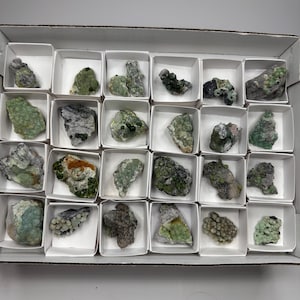 May include: A collection of twenty small, raw mineral specimens displayed in individual white paper compartments within a rectangular cardboard box. Each specimen features varying shades of green, grey, and brown, with textured, bumpy surfaces.