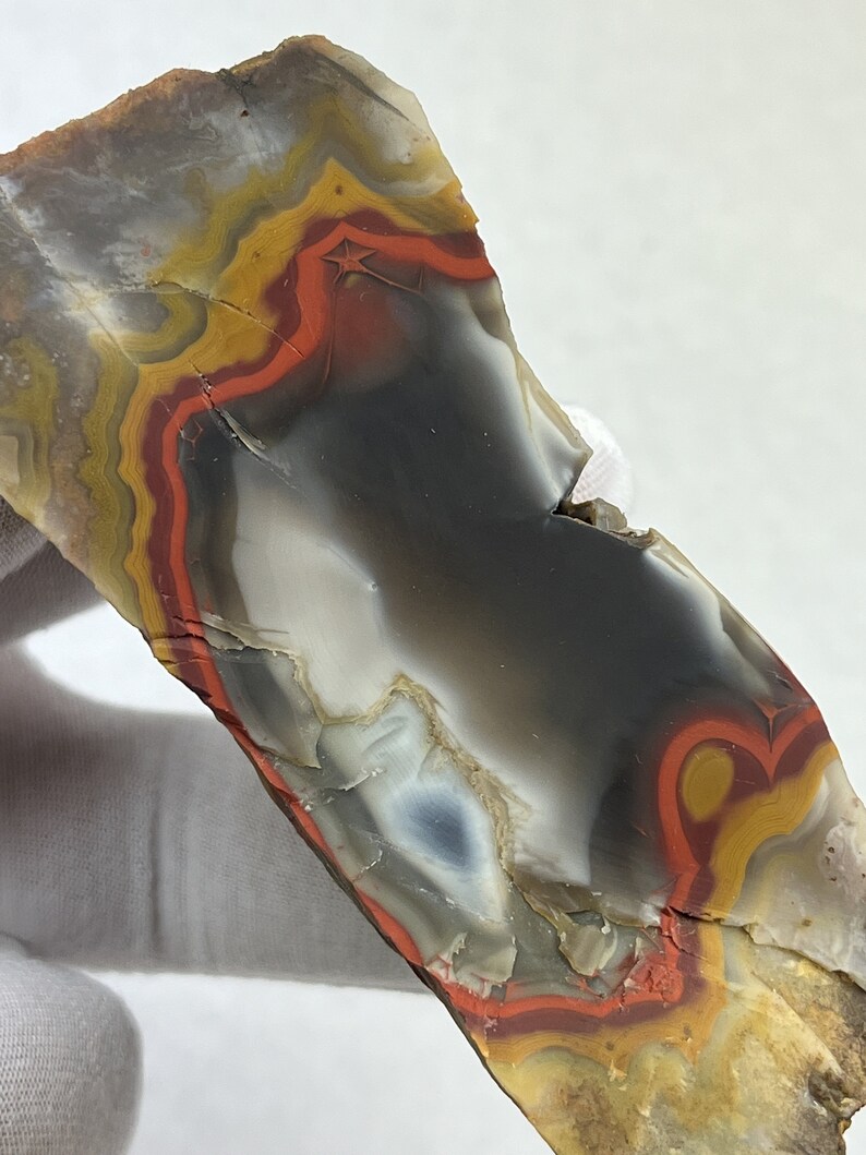 Large Natural Kentucky Agate Rough From Estill County Etsy