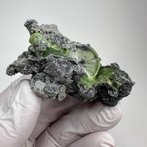 May include: A close-up of a mineral specimen featuring a dark gray matrix with vibrant green crystals. The crystals have a radial, fan-like structure, and the specimen is held by a gloved hand.