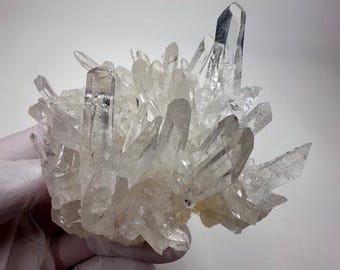 May include: A cluster of clear quartz crystals, showcasing a variety of pointed formations. The crystals are translucent with a slight milky hue, and they are held by a gloved hand against a white background. The quartz cluster is a natural mineral specimen.