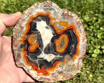 Large RARE Idaho Sunset Jasper Rough Specimen- Agate - Lemhi