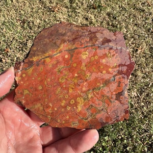 Large RARE ( 186 Grams) Morgan Hill Poppy Jasper Slab, Morgan Hill, California