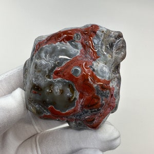 RARE Large Tumbled Kentucky Agate Palm Stone from Estill County, Kentucky