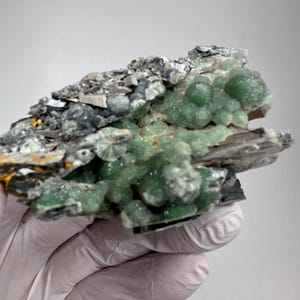 May include: A natural mineral specimen featuring a cluster of light green, spherical formations atop a matrix of gray and black rock. The mineral has a crystalline appearance, with a rough, textured surface. The specimen is held in a gloved hand against a plain white background.