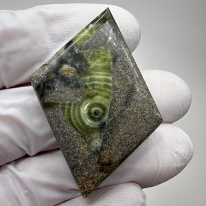 May include: A polished gemstone with a diamond shape. The stone features a central pattern of concentric green circles and lines, set against a backdrop of gray and tan speckled stone. The edges are polished and transparent.