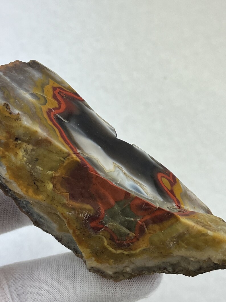 Large Natural Kentucky Agate Rough From Estill County Etsy