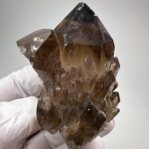 May include: A cluster of smoky quartz crystals. The crystals are a translucent brown colour, with sharp, well-defined points. The quartz formation is held by a gloved hand against a white background. The crystals vary in size, creating a textured appearance.