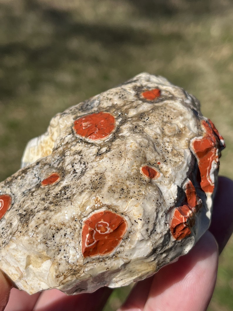 Large Natural Kentucky Agate Rough From Estill County Etsy