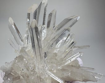 May include: A cluster of clear quartz crystals, showcasing a multitude of sharp, pointed formations. The crystals are translucent, with a slightly milky base. The overall shape is irregular, with the crystals radiating outwards from a central point.