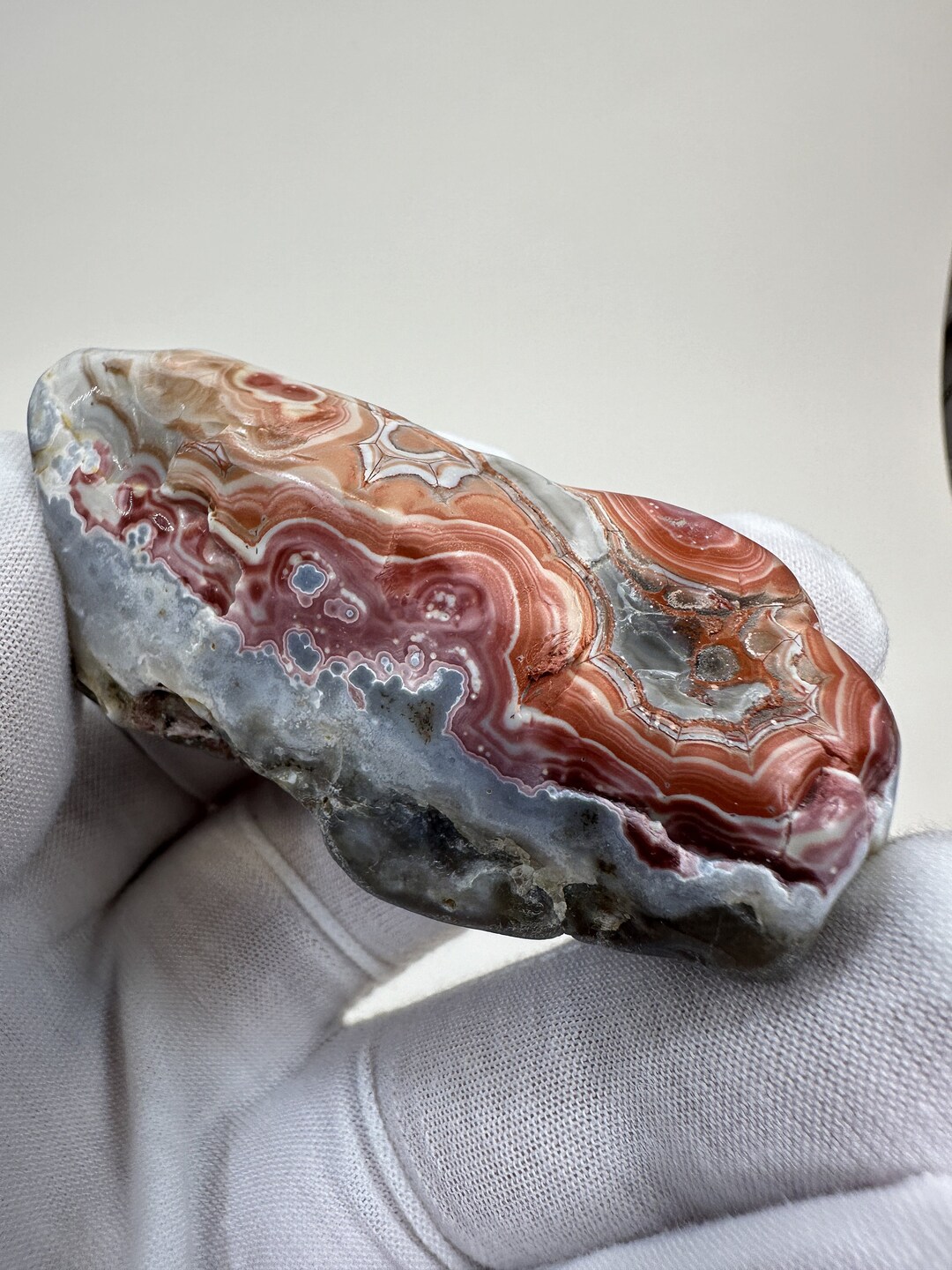 RARE Large Tumbled Kentucky Agate Palm Stone From Estill County